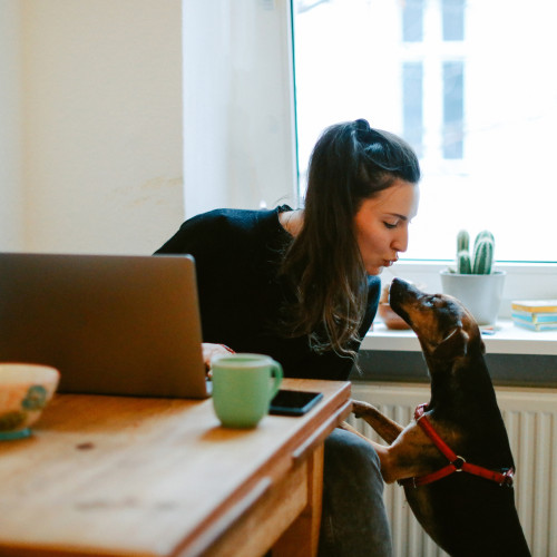 Homeoffice bei Limberg 